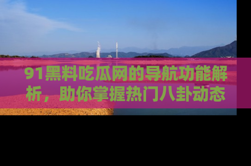 91黑料吃瓜网的导航功能解析,助你掌握热门八卦动态