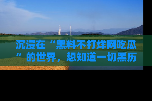 沉浸在“黑料不打烊网吃瓜”的世界,想知道一切黑历史与内幕信息的网站!