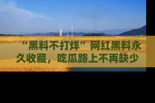 “黑料不打烊”网红黑料永久收藏,吃瓜路上不再缺少惊喜与乐趣