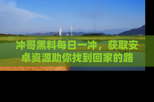 冲哥黑料每日一冲，获取安卓资源助你找到回家的路