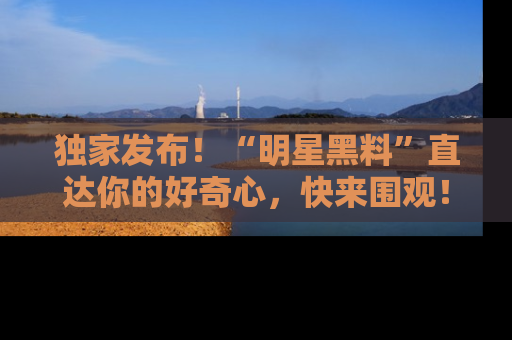 独家发布！“明星黑料”直达你的好奇心，快来围观！