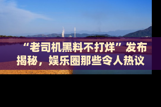 “老司机黑料不打烊”发布揭秘,娱乐圈那些令人热议的黑暗秘密!