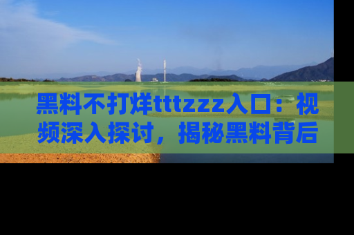 黑料不打烊tttzzz入口：视频深入探讨，揭秘黑料背后的人和事