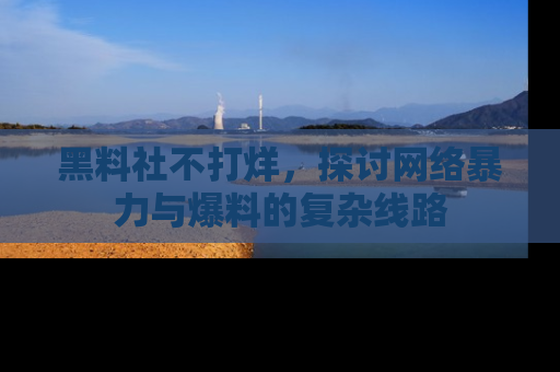 黑料社不打烊，探讨网络暴力与爆料的复杂线路