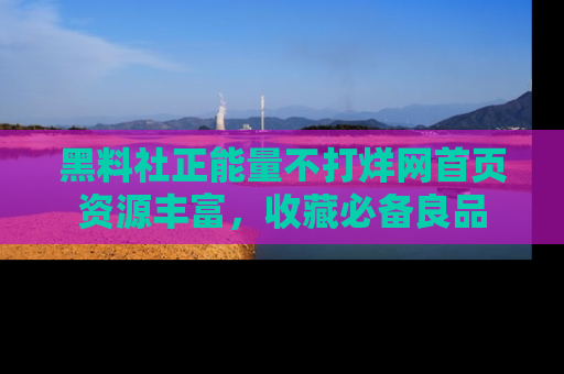 黑料社正能量不打烊网首页资源丰富，收藏必备良品
