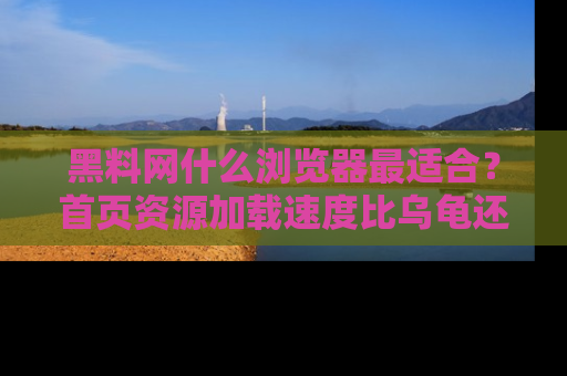 黑料网什么浏览器最适合？首页资源加载速度比乌龟还慢的体验真心吐槽！