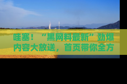 哇塞！“黑网料最新”劲爆内容大放送，首页带你全方位了解哦，小可爱们