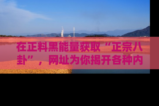 在正料黑能量获取“正宗八卦”,网址为你揭开各种内幕故事!